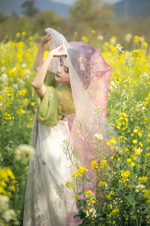 沉香如屑免费观看完整版